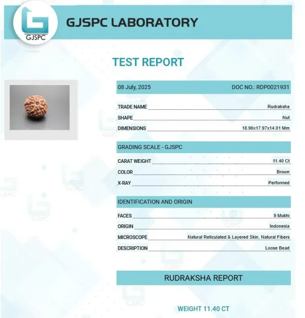 9 Mukhi Certificate