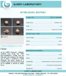 9 Mukhi Certificate