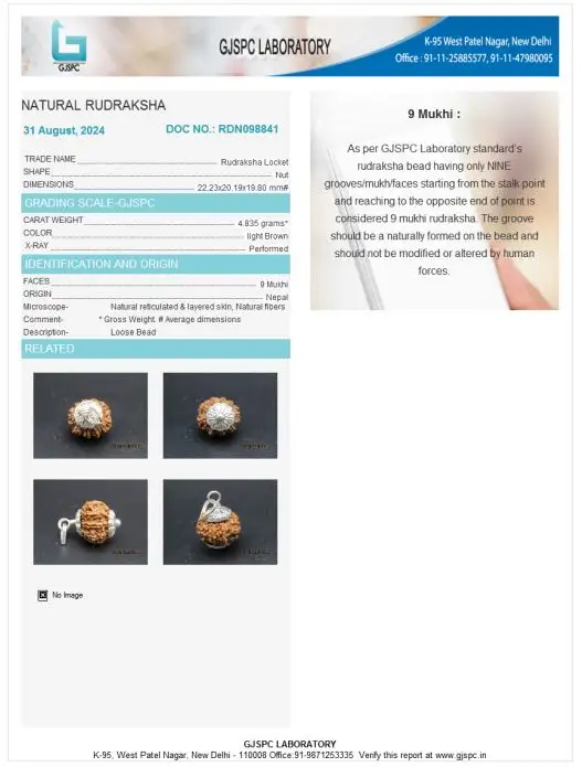 9 Mukhi Certificate