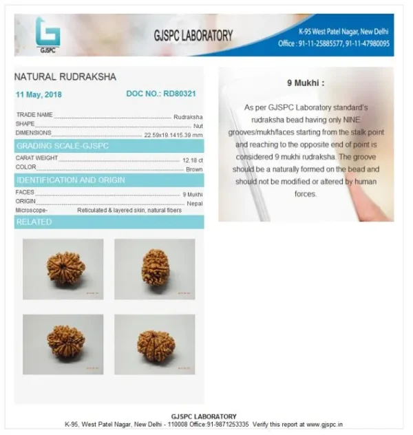 9 Mukhi Certificate