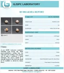 9 Mukhi Certificate
