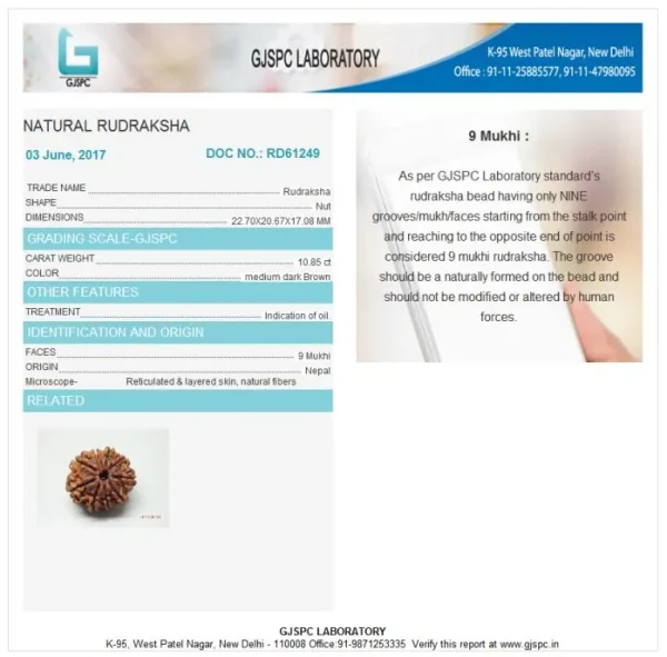 9 Mukhi Certificate