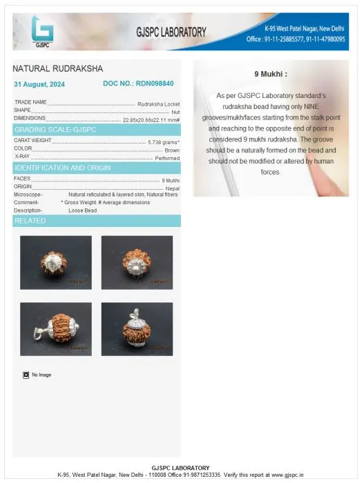 9 Mukhi Certificate