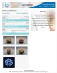 9 Mukhi Certificate