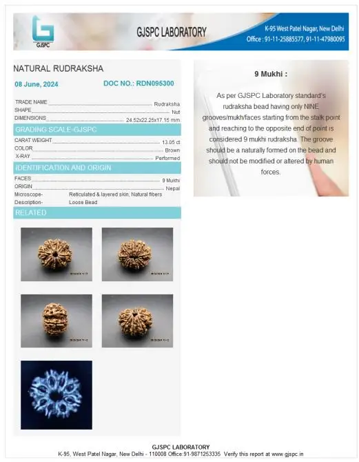 9 Mukhi Certificate