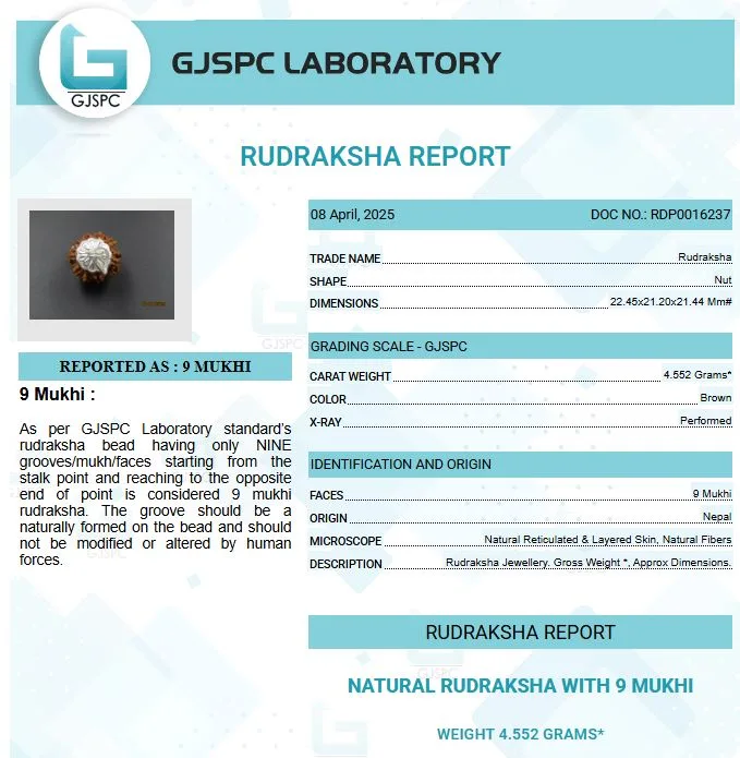 9 Mukhi Certificate
