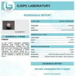 9 Mukhi Certificate
