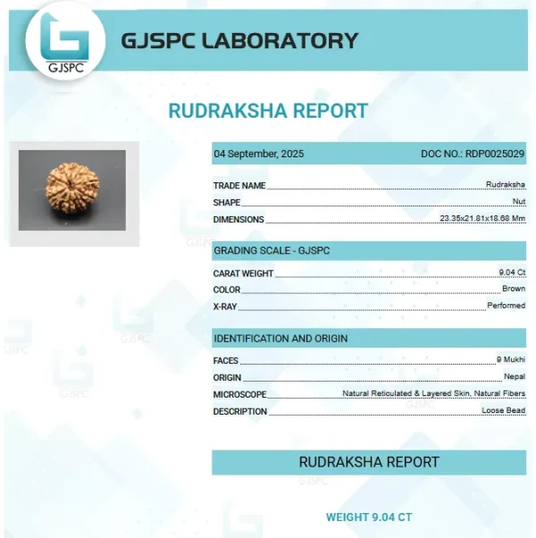 9 Mukhi Certificate