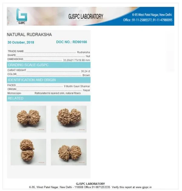 9 Mukhi Certificate