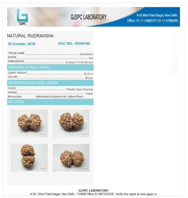 9 Mukhi Certificate