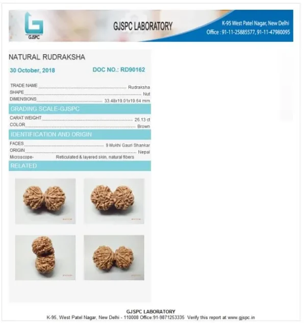 9 Mukhi Certificate