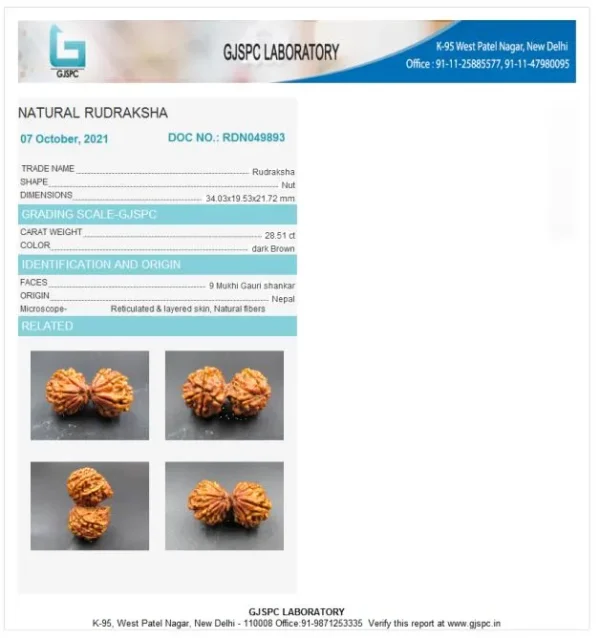 9 Mukhi Certificate