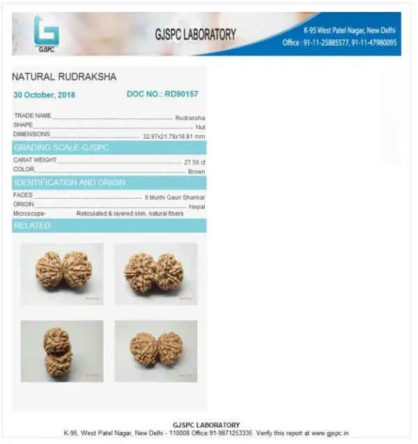 9 Mukhi Certificate