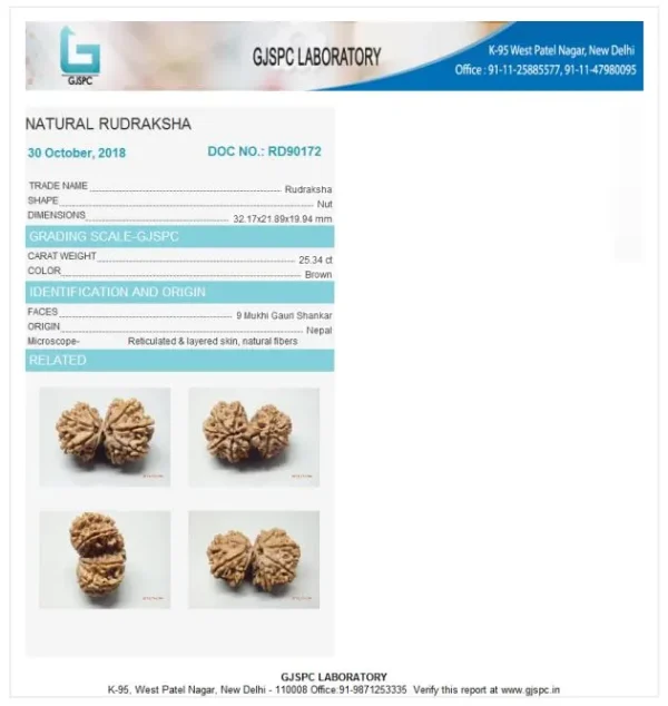 9 Mukhi Certificate