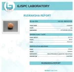 9 Mukhi Certificate