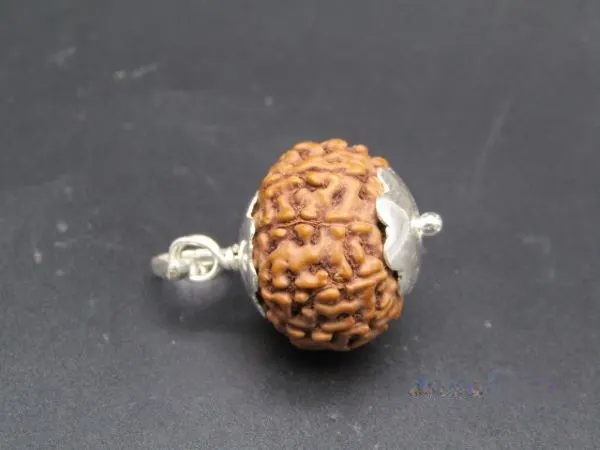 9 Mukhi Rudraksha