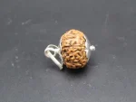 9 Mukhi Rudraksha