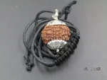 9 Mukhi Rudraksha