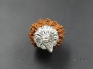 9 Mukhi Rudraksha