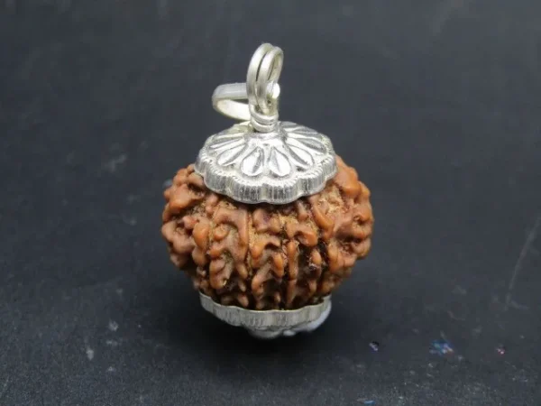 9 Mukhi Rudraksha