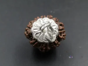 9 Mukhi lab Rudraksha