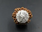 9 Mukhi Rudraksha