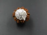 9 Mukhi Rudraksha