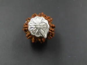 9 Mukhi Rudraksha