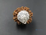 9 Mukhi Rudraksha