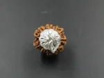 9 Mukhi Rudraksha