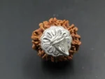 9 Mukhi Rudraksha