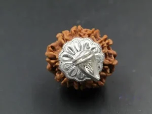 9 Mukhi Rudraksha