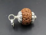 9 Mukhi Rudraksha