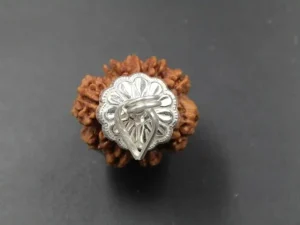 9 Mukhi Rudraksha