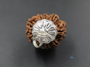 9 Mukhi Rudraksha
