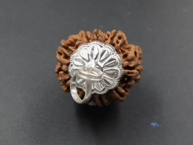 9 Mukhi Rudraksha