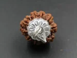 9 Mukhi Rudraksha