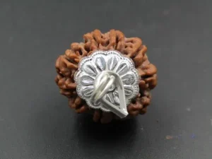 9 Mukhi Rudraksha