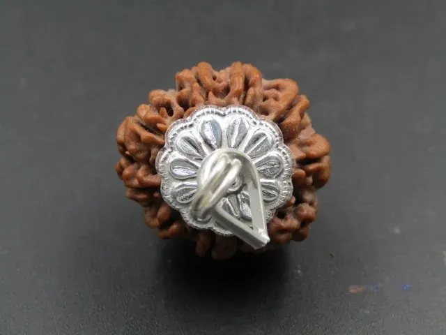 9 Mukhi Rudraksha