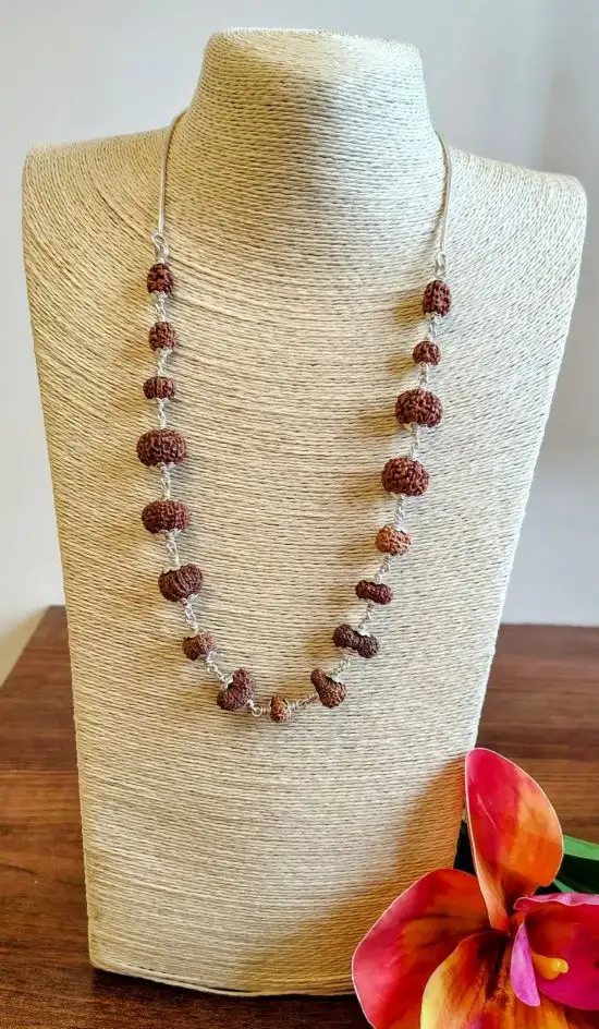 Aishwarya Sarva Siddha Rudraksha Mala
