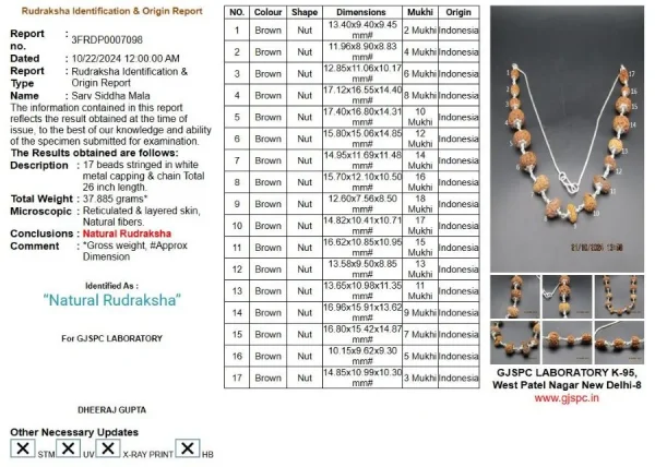 Aishwarya Sarva Siddha Rudraksha Mala Certificate