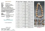 Aishwarya Sarva Siddha Rudraksha Mala Certificate