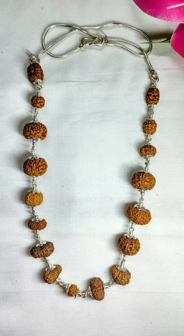Aishwarya Sarva Siddha Rudraksha Mala