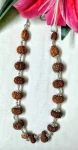 Aishwarya Sarva Siddha Rudraksha Mala