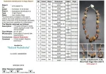 Aishwarya Sarva Siddha Rudraksha Mala Certificate