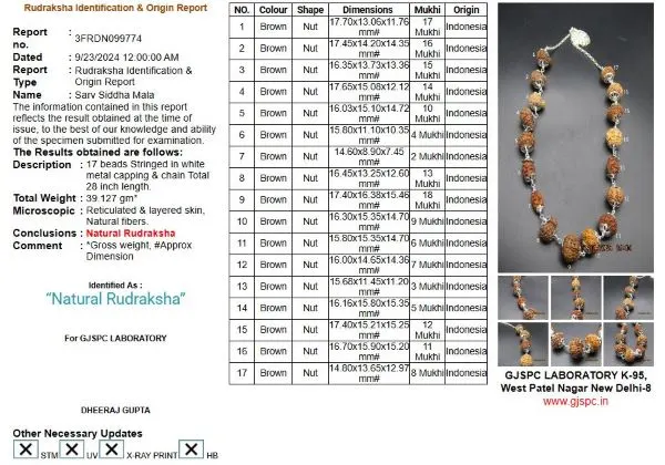Aishwarya Sarva Siddha Rudraksha Mala Certificate