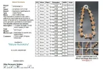 Aishwarya Sarva Siddha Rudraksha Mala Certificate