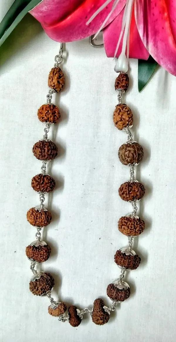Aishwarya Sarva Siddha Rudraksha Mala