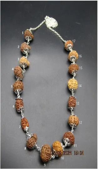 Aishwarya Sarva Siddha Rudraksha Mala
