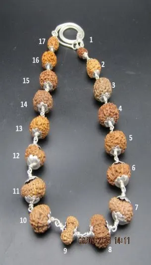 Aishwarya Sarva Siddha Rudraksha Mala